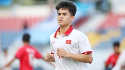 VTV tham gia, khán giả Việt Nam thêm lựa chọn theo dõi Giải U23 Đông Nam Á 2025