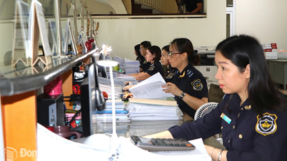 Bảo đảm xuyên suốt hoạt động thu ngân sách nhà nước sau sáp nhập