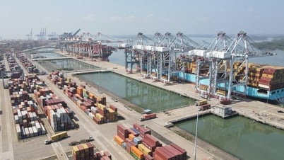 TP.HCM tập trung phát triển chuỗi logistics cảng biển thông minh