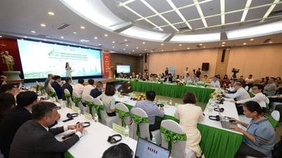 Logistics xanh: Yêu cầu bắt buộc để nâng sức cạnh tranh