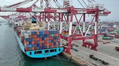 Lần đầu có app đặt xe container, tích hợp cả thủ tục xuất nhập khẩu