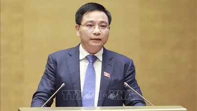 Thành lập Hội đồng quản lý Quỹ Hỗ trợ đầu tư