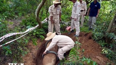 30 năm bình thường hóa quan hệ Việt-Mỹ: Điểm sáng khắc phục hậu quả chiến tranh
