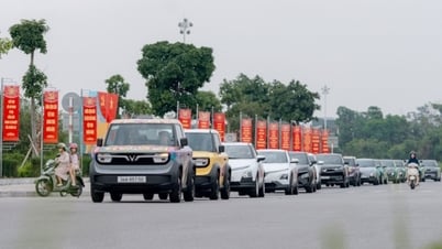 “Vi vu muôn ngả - Phủ xanh Việt Nam”: VinFast mang đại tiệc xe điện đổ bộ Hải Phòng