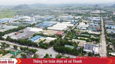 អត្ថប្រយោជន៍នៃ "ដំបូលឆ្លាតវៃ"