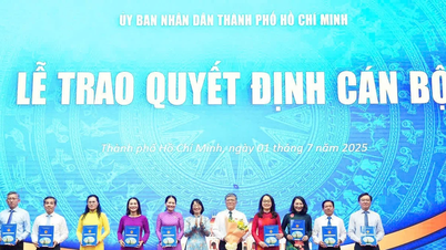 Phân công lại nhiệm vụ Ban Giám đốc Sở GD&ĐT TPHCM sau sáp nhập