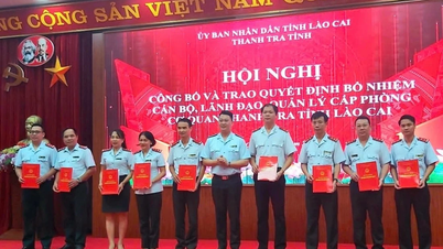 Thanh tra tỉnh tổ chức Hội nghị công bố và trao quyết định bổ nhiệm cán bộ, lãnh đạo