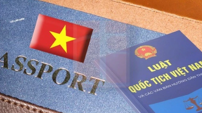 Instructions on conditions for naturalization and regaining Vietnamese nationality