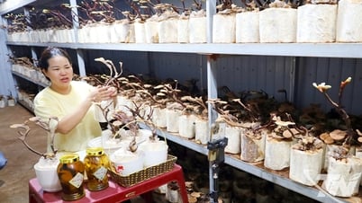 Chuyển đổi số không còn là khẩu hiệu