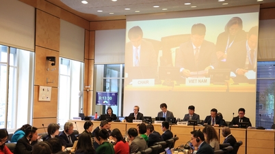 The Human Rights Committee appreciates Vietnam's progress in a number of areas.