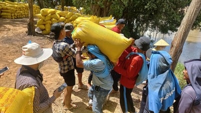 Vụ lúa Hè Thu 2025, nông dân thu lợi nhuận không cao