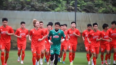 ប្រកាស​បញ្ជី​ឈ្មោះ​ក្រុម U23 វៀតណាម ចូល​រួម​ប្រកួត​ជើងឯក U23 អាស៊ីអាគ្នេយ៍ ឆ្នាំ​២០២៥