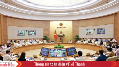 Nghị quyết phiên họp Chính phủ tháng 6 và Hội nghị trực tuyến Chính phủ với địa phương