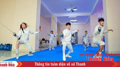 Trăn trở bộ môn đấu kiếm