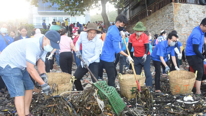 Hơn 1.000 người tham gia thu gom rác đại dương tại Vũng Tàu