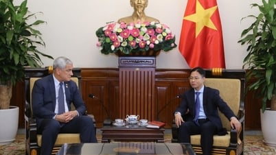 Việt Nam-Hoa Kỳ tiếp tục hợp tác chặt chẽ khắc phục hậu quả chiến tranh