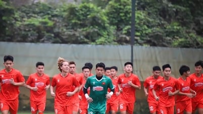 HLV Kim Sang Sik loại cầu thủ Việt kiều khỏi giải U23 Đông Nam Á 2025