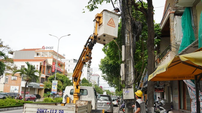 Nỗ lực xóa “điểm đen” cáp thông tin