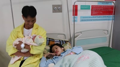 Công dân của thành phố Hải Phòng mới
