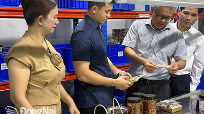 Xã Xuân Hòa đồng hành, hỗ trợ cùng doanh nghiệp, thúc đẩy phát triển kinh tế tư nhân