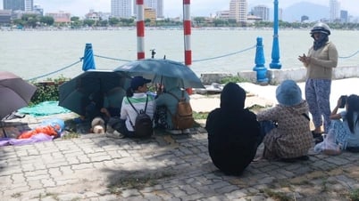 Đi trước 10 tiếng đồng hồ để “xí” chỗ đẹp xem chung kết pháo hoa