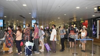 航空業界は力強く回復：航空運賃は今後上がるのか、下がるのか？