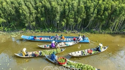 Hấp dẫn U Minh Hạ mùa nước nổi