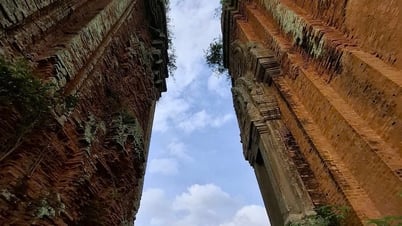 Những vệt đen biết thở