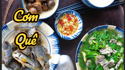 La sopa de bagre y hojas de mostaza es un plato rústico y familiar en las comidas de muchas familias vietnamitas.