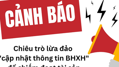 Giả danh BHXH để lừa đảo: Cảnh báo chiêu trò 'cập nhật thông tin'