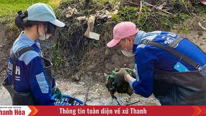 Vẽ bức tranh đẹp về tuổi trẻ giàu khát vọng
