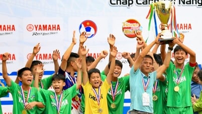 Thắng nghẹt thở SLNA, U.13 Nam Định lần đầu vô địch giải U.13 quốc gia