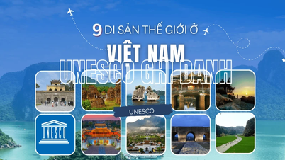 [Infographic] 9 Di sản Thế giới ở Việt Nam được UNESCO vinh danh
