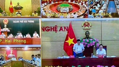 Chỉ đạo, điều hành của Chính phủ, Thủ tướng Chính phủ ngày 12/7/2025