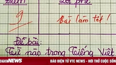 Từ Tiếng Việt nào có 4 chữ A?