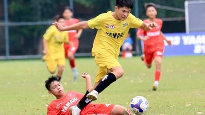 Bóng đá Việt Nam đặt mục tiêu dự World Cup 2034