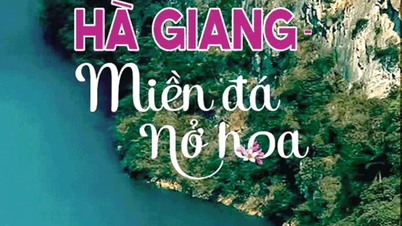 Ðắm say với “Miền đá nở hoa”