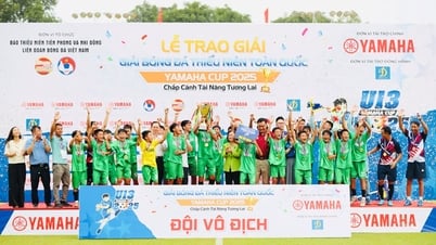 Thắng SLNA, đội U13 Nam Định lần đầu đăng quang giải bóng đá vô địch U13 Quốc gia