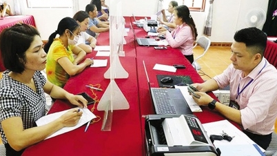 Social policy credit is stable after the merger