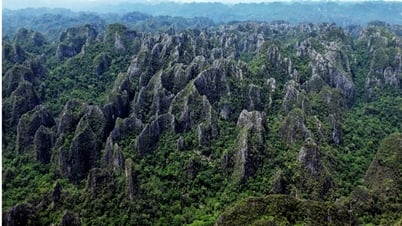 UNESCO công nhận di sản liên biên giới Vườn quốc gia Phong Nha - Kẻ Bàng và Vườn quốc gia Hin Nam Nô - Lào