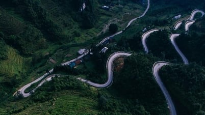 Du Lịch Hà Giang 3 ngày 2 đêm: Chinh phục Cột mốc số 0, lạc vào Vương quốc H'Mông và tỉnh giấc giữa ngàn mây