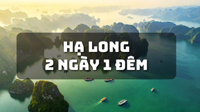 Du lịch 2N1Đ tại vịnh đảo, nơi mỗi góc nhìn là một bức tranh thiên nhiên