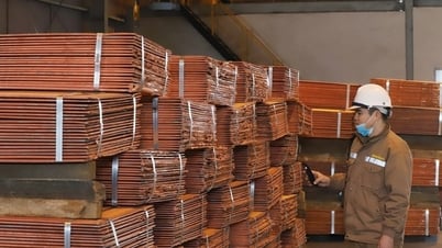 Mỹ áp thuế 50% với đồng nhập khẩu tác động không đáng kể tới Việt Nam