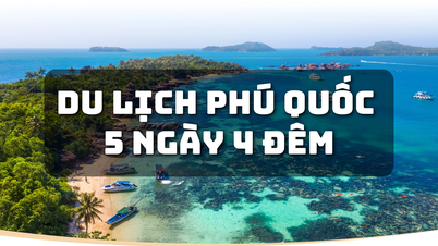 Hành trình khám phá hòn ngọc biển Đông 5 ngày 4 đêm đầy đủ và chi tiết nhất