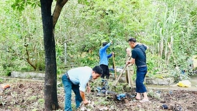 Xã Sơn Đồng tổng vệ sinh, làm đẹp nghĩa trang liệt sĩ