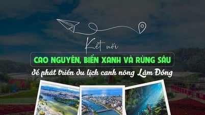 Kết nối cao nguyên, biển xanh và rừng sâu để phát triển du lịch canh nông Lâm Đồng