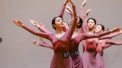 Học phí khối ngành nào thấp nhất, có trường chỉ hơn 4 triệu đồng/năm?