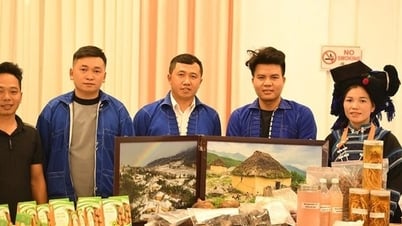 Thanh niên nông thôn được tạo nhiều cơ hội hoàn thiện kỹ năng khởi nghiệp