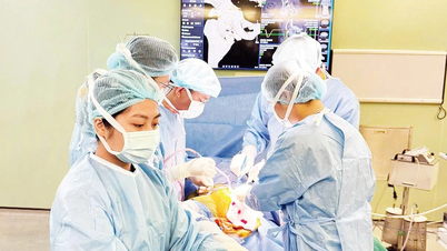 Chuẩn hóa năng lực bác sĩ và các chức danh y tế