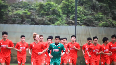 Chốt danh sách đội tuyển U23 Việt Nam tham dự Giải vô địch U23 Đông Nam Á 2025